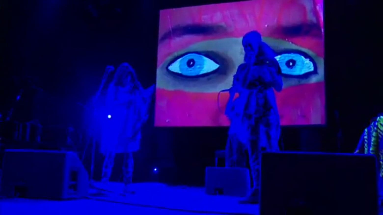 CocoRosie, 2008