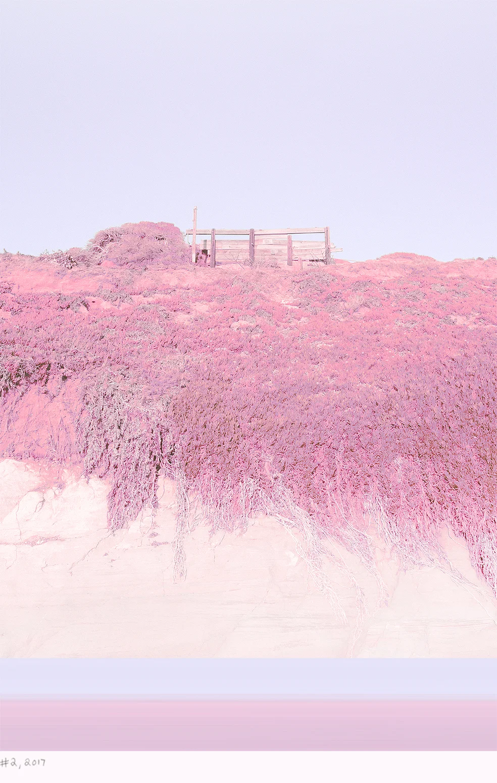 Stop Before the Memory Is Gone Vol. 1, image 2