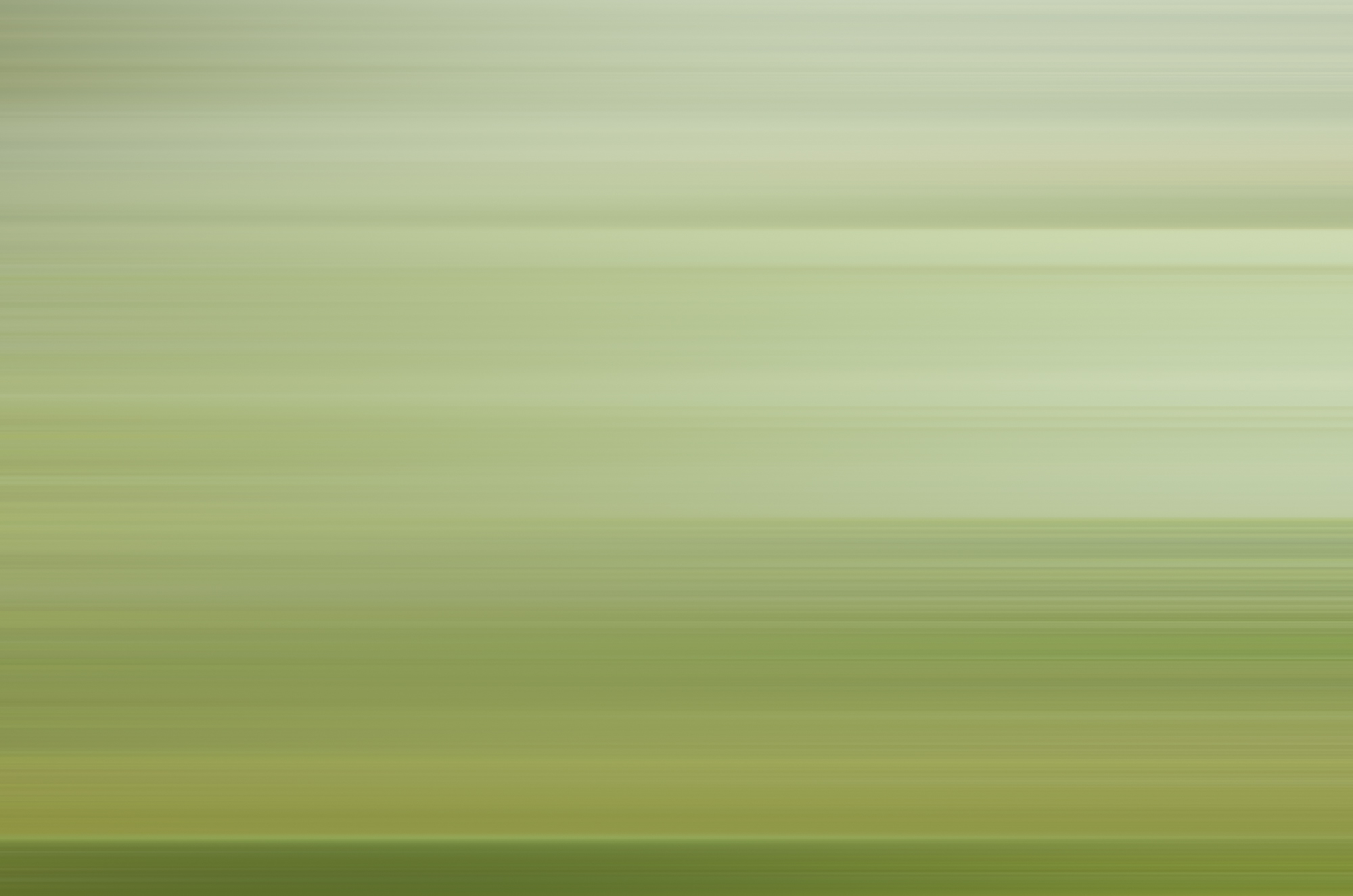 Weston James Palmer-Motion-87.jpg