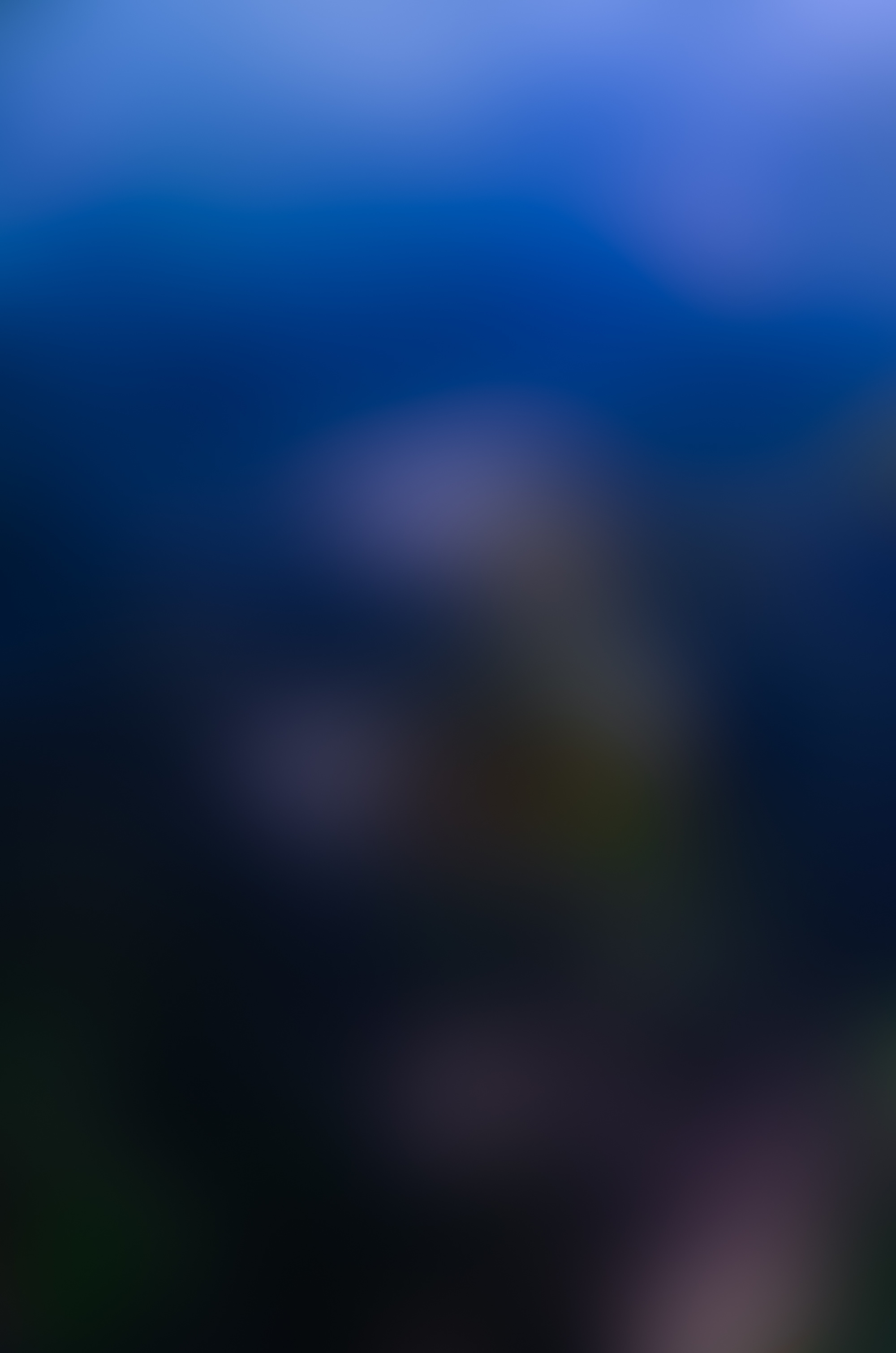 Weston James Palmer-Motion-160.jpg