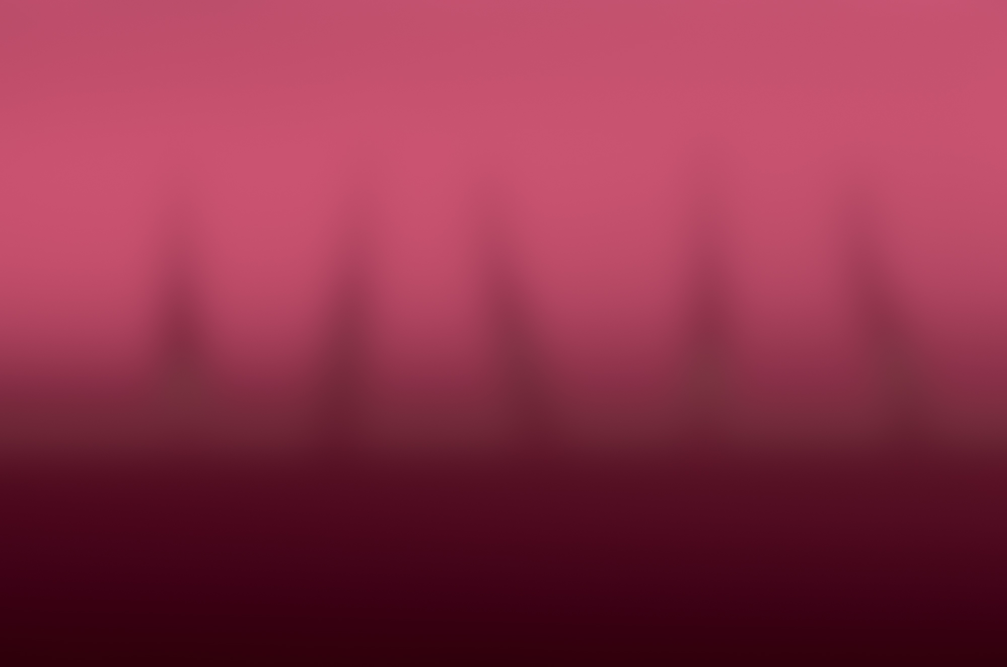 Weston James Palmer-Motion-178.jpg