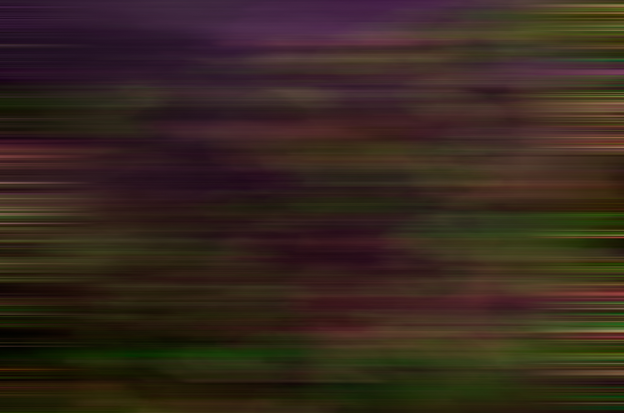 Weston James Palmer-Motion-184.jpg